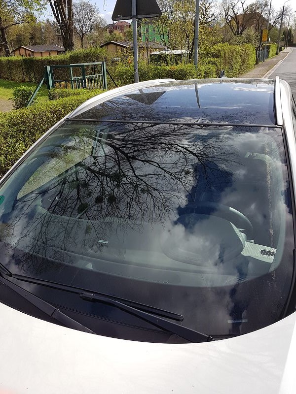 Haifisch Antenne Renault