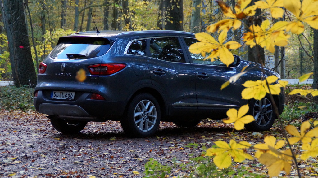 Herbstwald