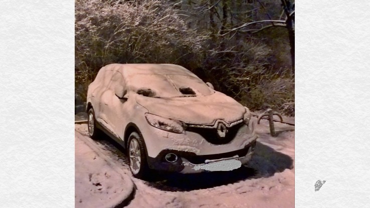 Das erste Schneefoto meiner Hübschen